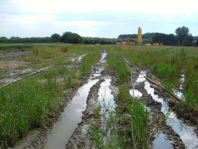 2004_0710_224214 (18).JPG - Südl. des Altbestandes Richtung Süd/West - durch Befahren geringe Versickerung